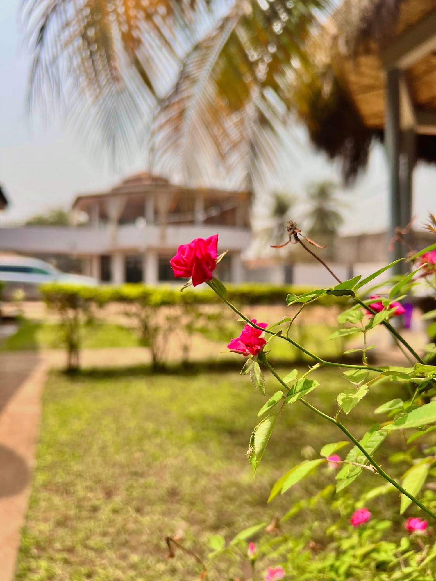Paloma Guest House Kenema المظهر الخارجي الصورة